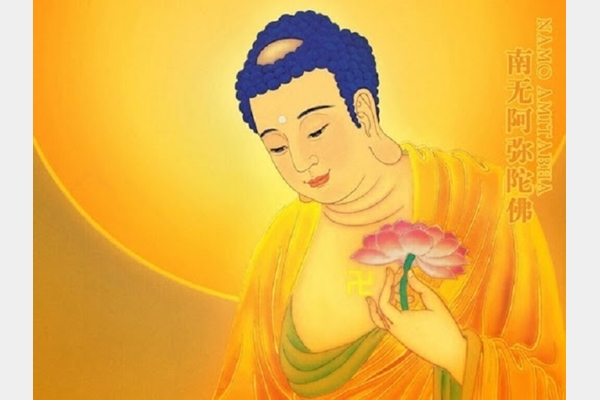 Vì sao các Phật tử hay niệm A Di Đà Phật?