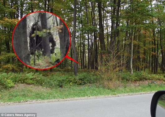 Bắt gặp hai quái thú Bigfoot trong rừng