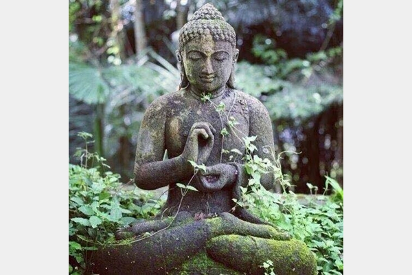 Lời Phật dạy: Toan tính không đem lại cho bạn hạnh phúc