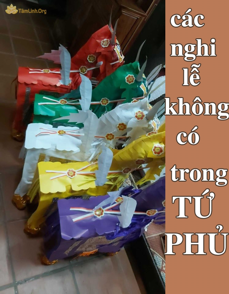 Sự Thật: Các Nghi Lễ Không Có Trong Tứ Phủ | Hầu Thánh, Đạo Mẫu Tam Tứ Phủ  | Tâm Linh Có Thật