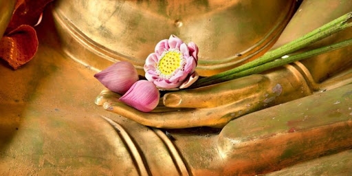 Là một trong những biểu tượng quan trọng nhất của Phật giáo, hoa sen đã trở thành chủ đề vô cùng phổ biến trong nghệ thuật Việt Nam. Với nét vẽ tinh tế và màu sắc hài hòa, hoa sen truyền tải đến xem giả thông điệp về sự thanh tịnh và giải thoát. Hãy khám phá những bức ảnh Hoa sen Phật giáo đẹp nhất và tìm kiếm sự bình an trong tâm hồn.