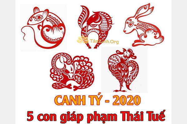 Top 5 con giáp gặp hạn Thái Tuế năm 2020: TÝ, NGỌ, MÃO, DẬU, MÙI