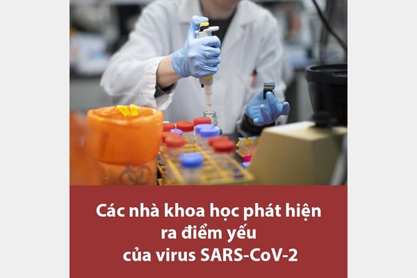Trung Quốc đã phát hiện ra điểm yếu của virut SARS-CoV-2