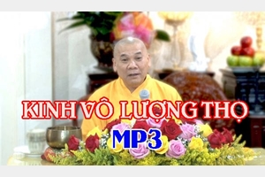 Vô Lượng Thọ Kinh, thầy Thích Trí Thoát tụng, MP3