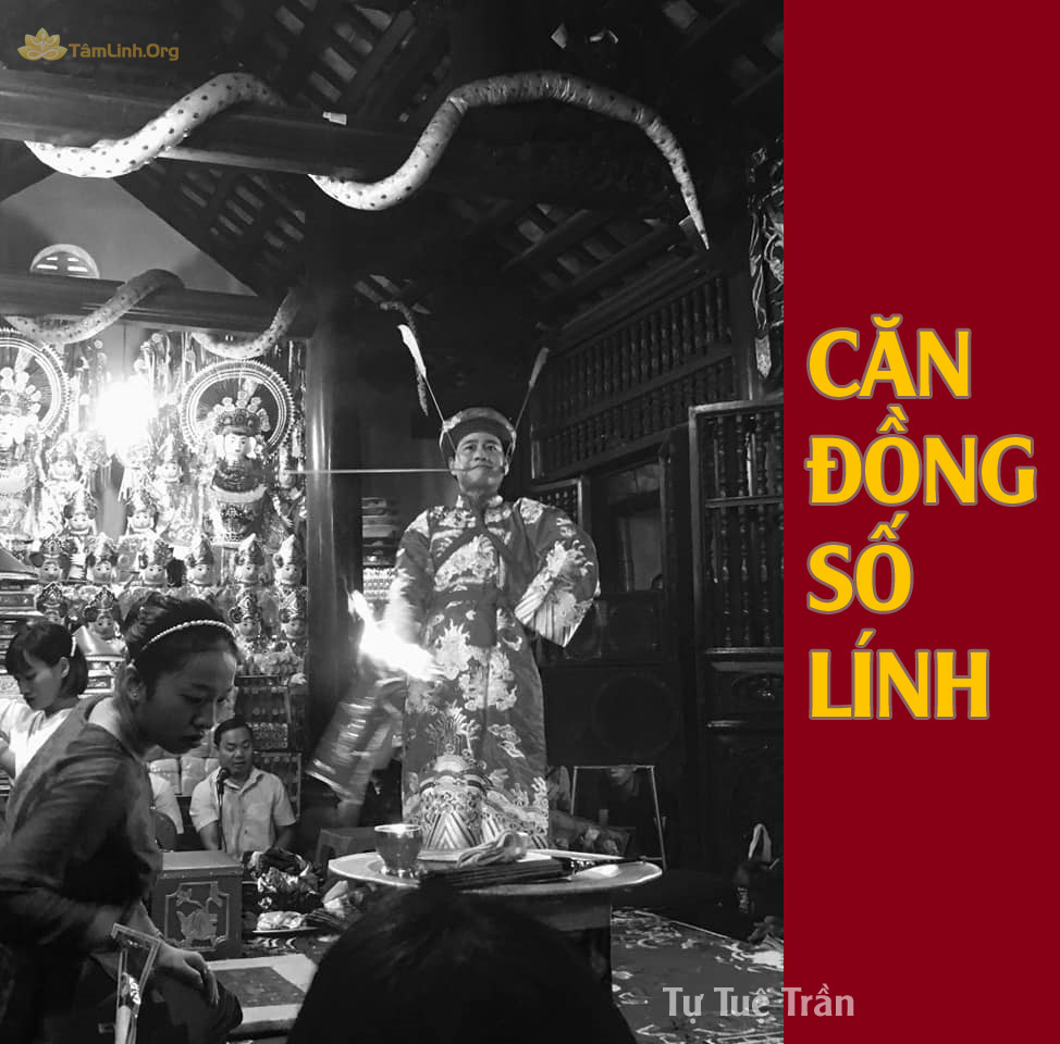 can dong so linh, hau dong, can dong