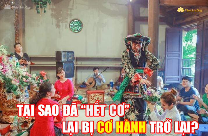 co hanh, dao mau, can so, can dong so linh