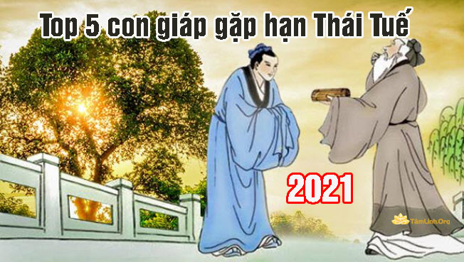 thai tue 2021, pham thai tue
