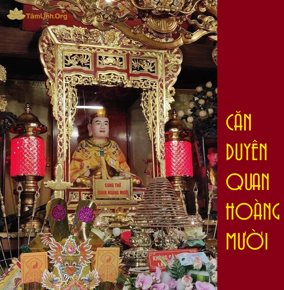Can ong hoang muoi