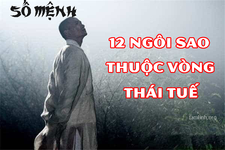 12 ngoi sao trong vong thai tue