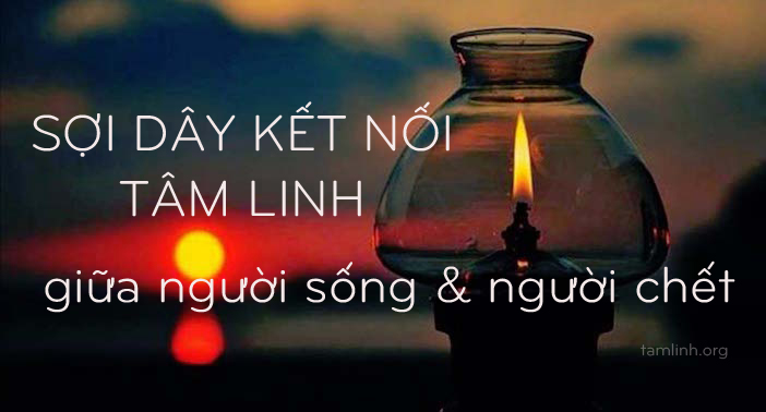 soi day ket noi tam linh giua nguoi song va nguoi chet