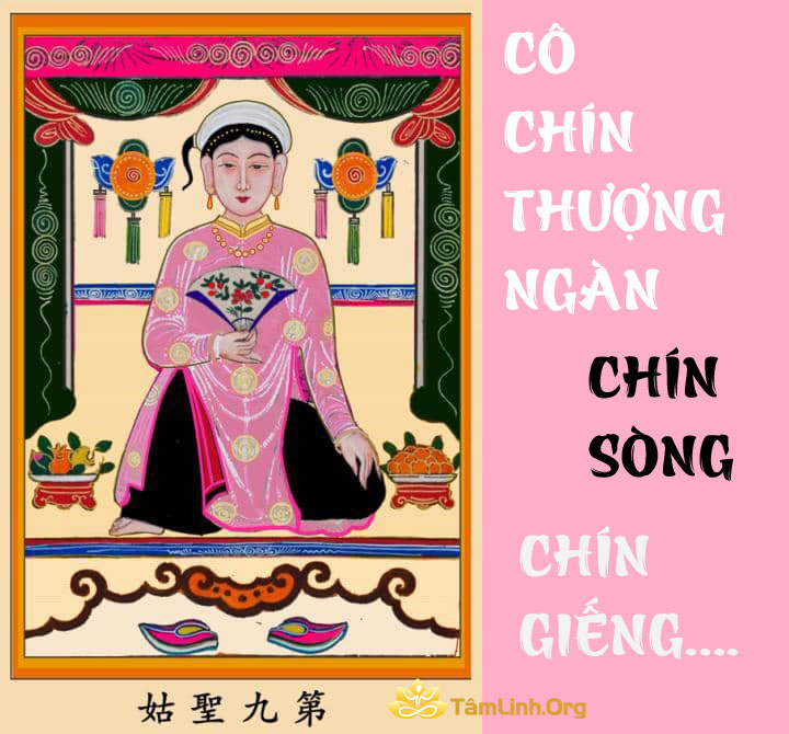 Can co chin, chin thuong ngan, chin gieng, chin song