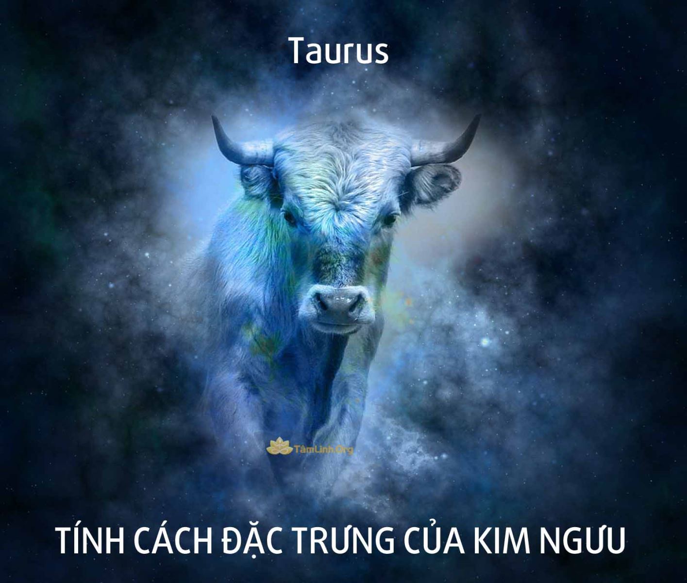 Tính cách đặc trưng của Kim Ngưu | Taurus | Tính cách, tình yêu ...