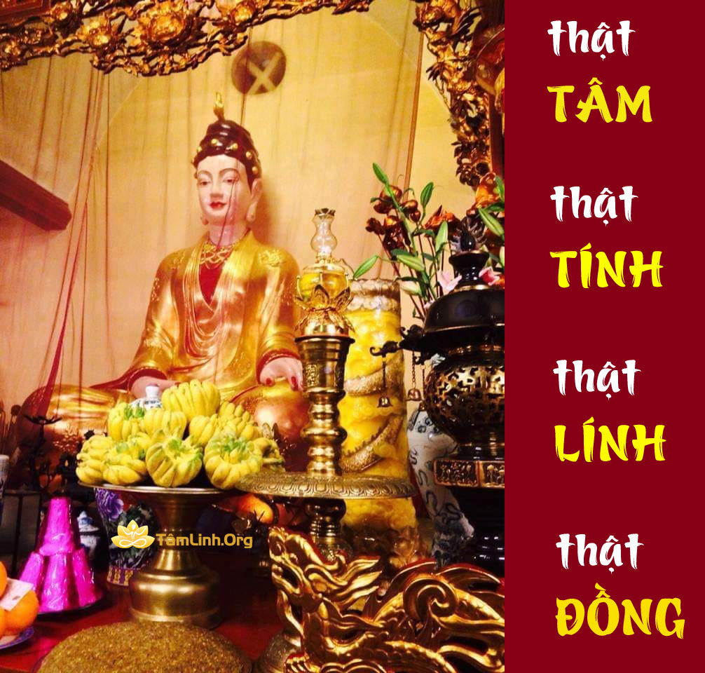 that tam that tinh that linh that dong, hau dong, can dong