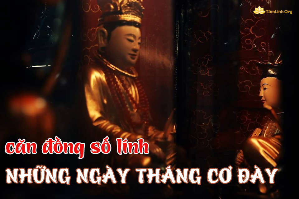 Can dong so linh, nhung ngay thang co day