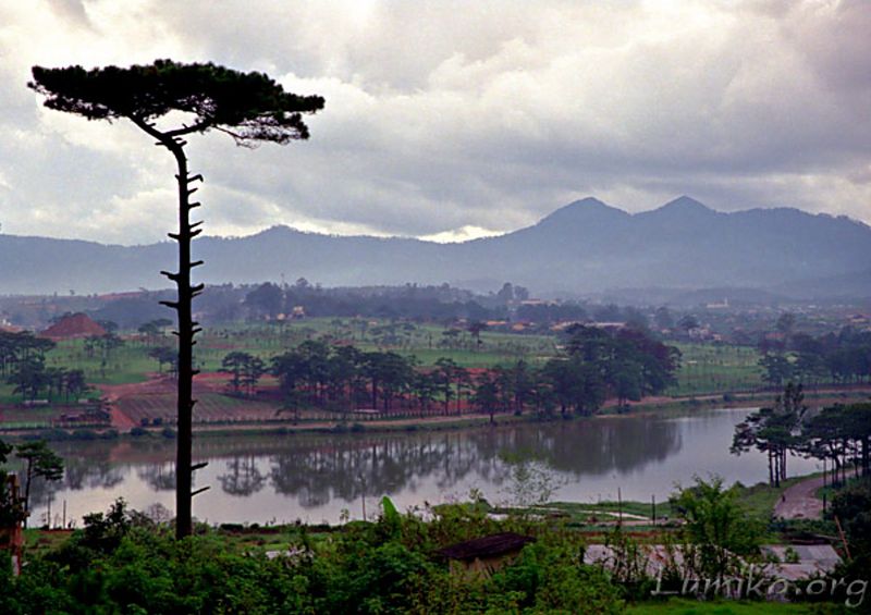 Truyện Ma Miếu Hoang – Phần 19: Tiếng Gọi Oan Khuất Giữa Đêm Mưa Loạn Lạc
