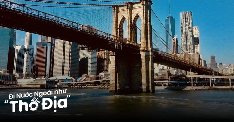 Nên Hay Không Nên Rải Tiền Lẻ Khi Đi Chùa: Phân Tích Văn Hóa Và Giải Pháp