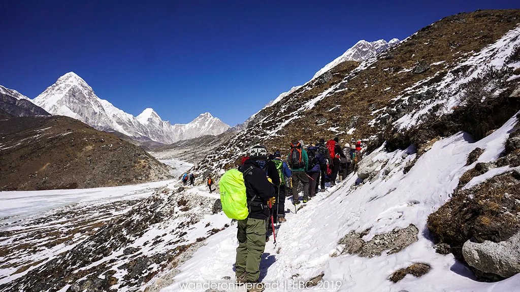 Dấu hiệu dẫn lối của đom đóm qua bóng đêm