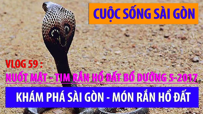 Truyện Ma Hầm Mộ – Phần 93: Bí Ẩn Rắn Chúa Và Dấu Vết Văn Cẩm