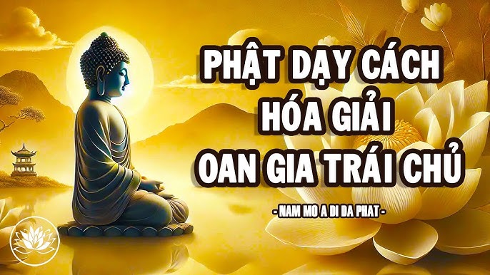 Oan Gia Trái Chủ Là Gì – Cách Hóa Giải Oan Gia Theo Triết Lý Phật Giáo