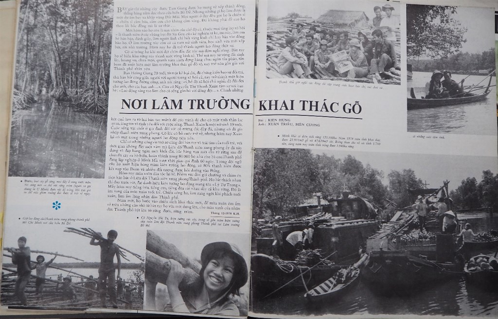 Truyện Ma Làm Dâu Đất Độc – Tập 12: Hé Lộ Bí Ẩn Nghiệp Báo Và Độc Địa