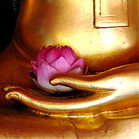 Những Điềm Báo Trước Khi Chết Theo Góc Nhìn Tâm Linh Và Khoa Học