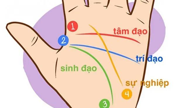 Xem chỉ tay là cách thức để xem vận mệnh con người
